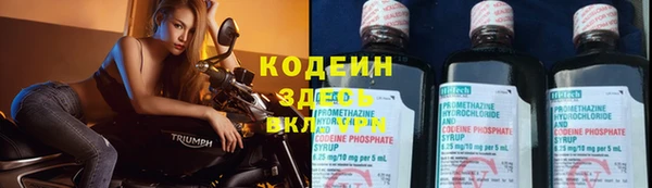 эйфоретик Баксан