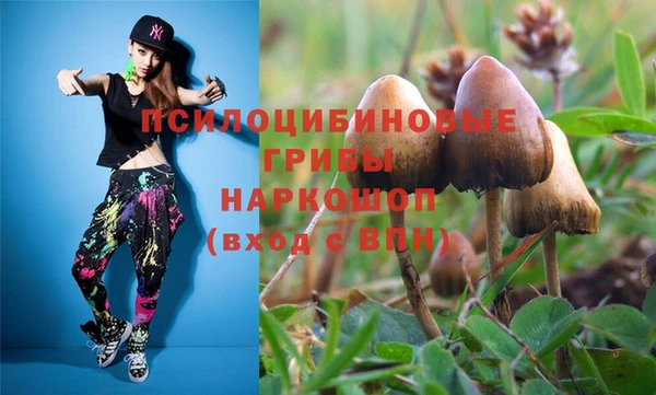 эйфоретик Баксан
