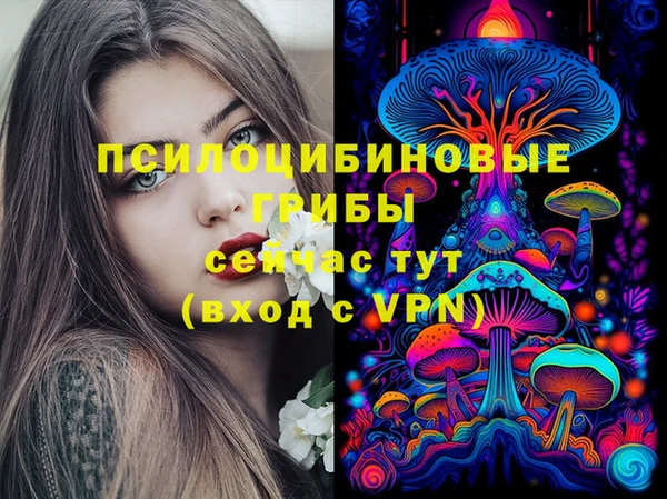 хмурый Балахна