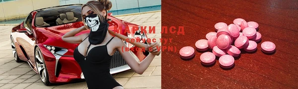 эйфоретик Баксан