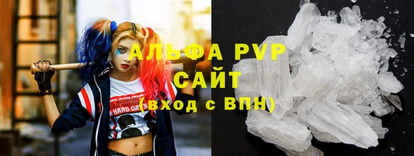 эйфоретик Баксан
