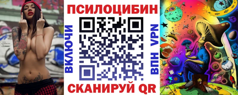 закладка  мега сайт  Псилоцибиновые грибы мухоморы  Шагонар 